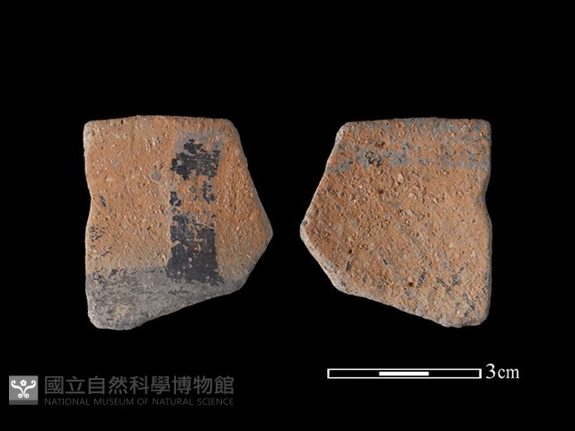 陶片藏品圖，第1張