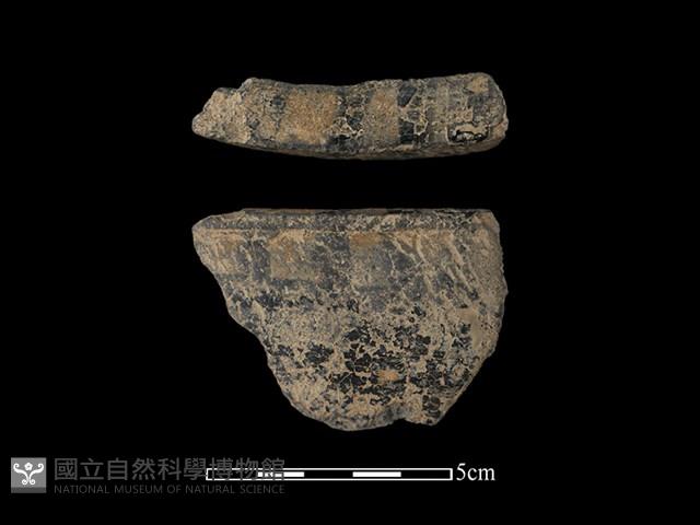 陶缽藏品圖，第1張