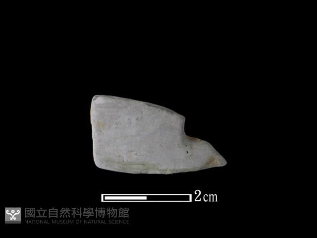 陶片藏品圖，第1張