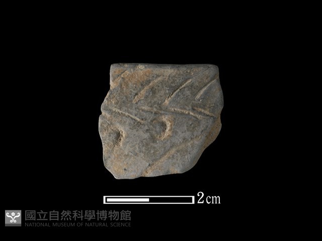 陶缽藏品圖，第1張