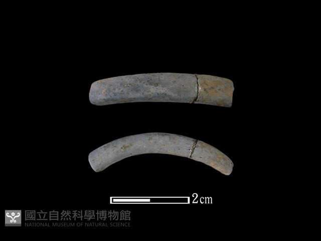 陶環藏品圖，第1張