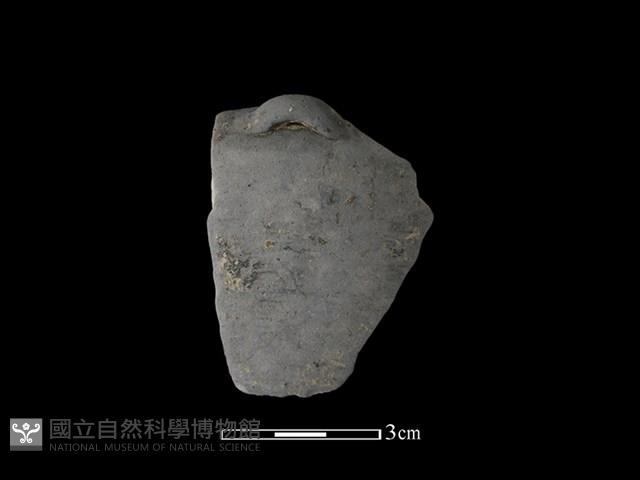 陶缽藏品圖，第1張