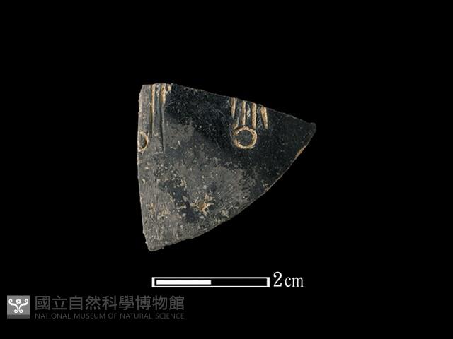 陶片藏品圖，第1張