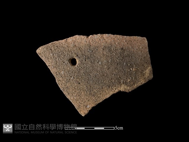 陶片藏品圖，第1張