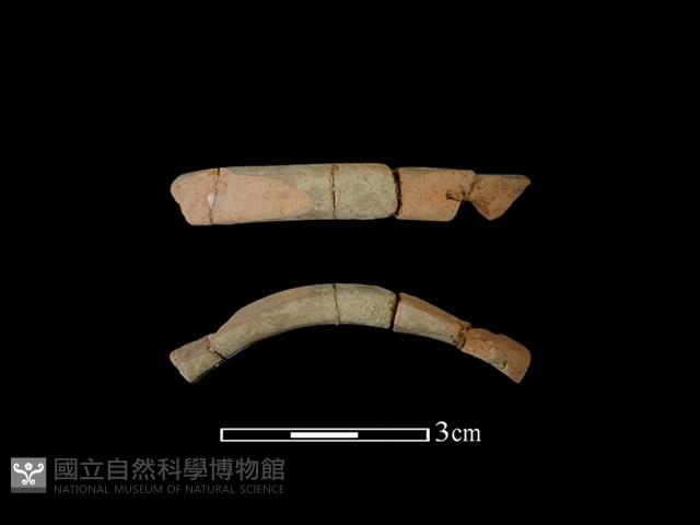 陶環藏品圖，第1張