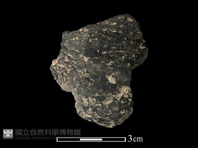 陶片藏品圖，第1張