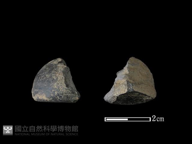 紡輪藏品圖，第1張