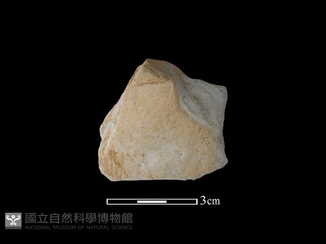 陶片藏品圖，第1張