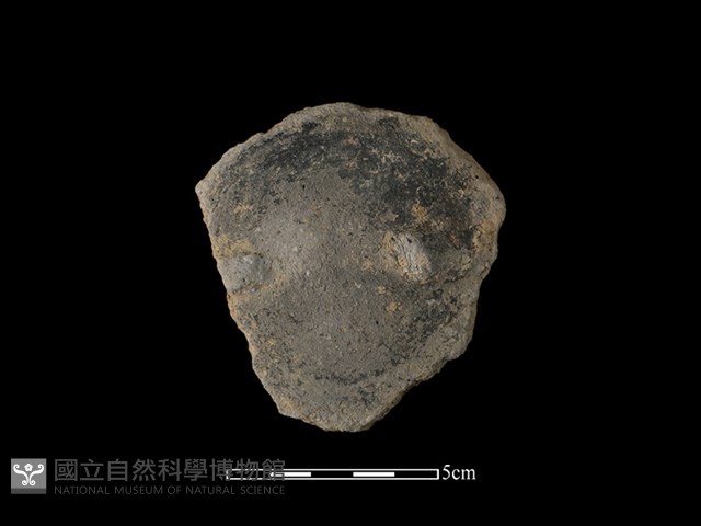 陶片藏品圖，第1張