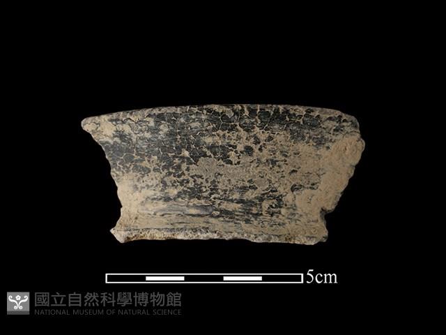 陶片藏品圖，第1張