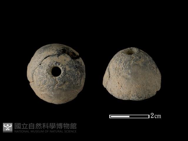 紡輪藏品圖，第1張