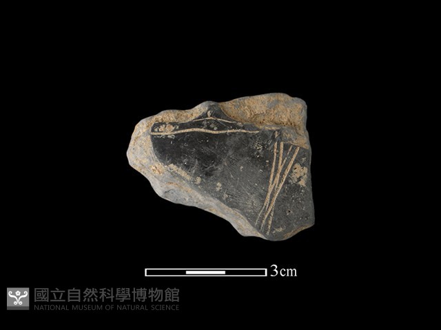陶片藏品圖，第1張
