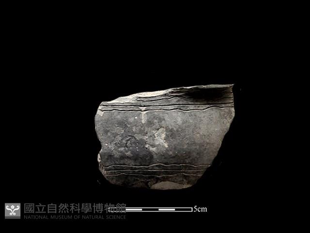 陶缽藏品圖，第1張