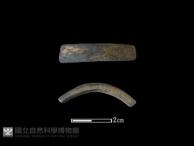 陶環藏品圖，第1張