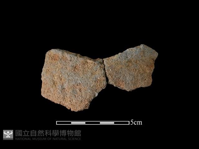 陶片藏品圖，第1張