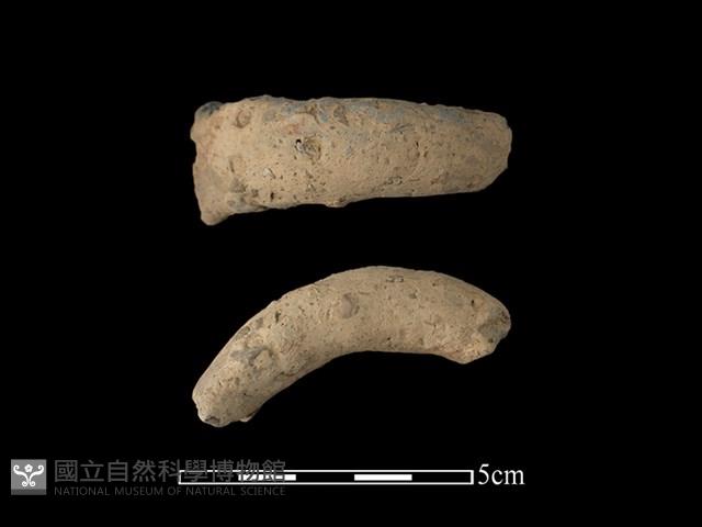 陶把藏品圖，第1張