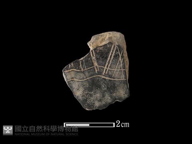 陶片藏品圖，第1張