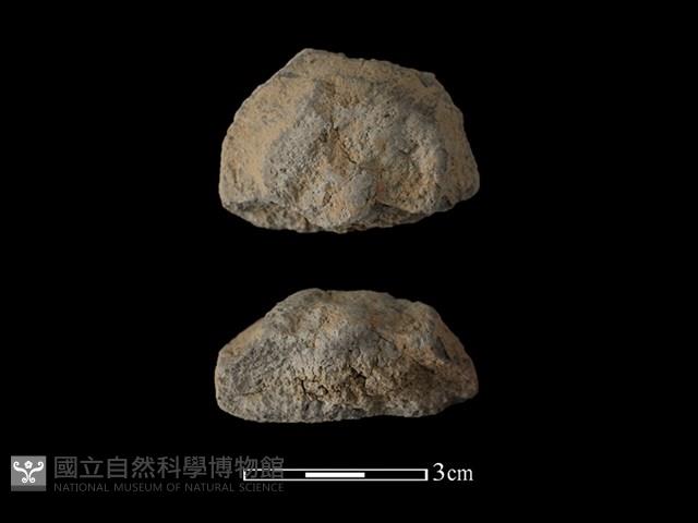 陶蓋鈕藏品圖，第1張