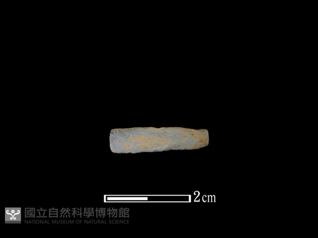 陶環藏品圖，第1張