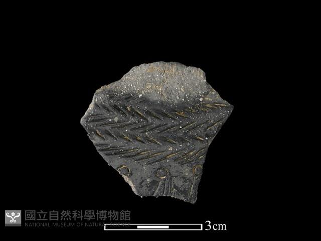 陶片藏品圖，第1張