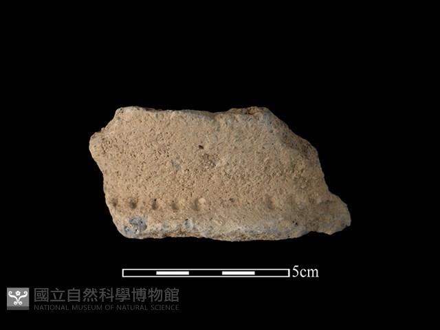 陶片藏品圖，第1張