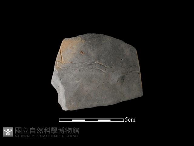 陶片藏品圖，第1張