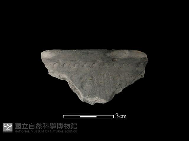 陶缽藏品圖，第1張