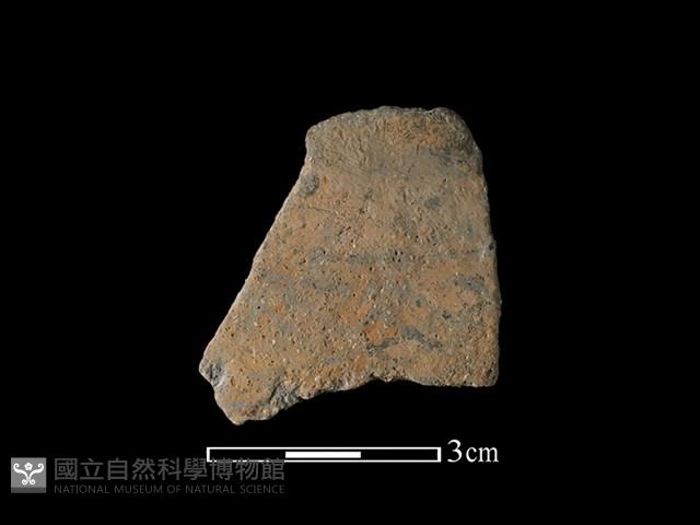 Accession Number:TMLII-PT632 Collection Image