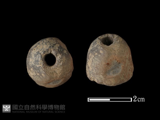 紡輪藏品圖，第1張