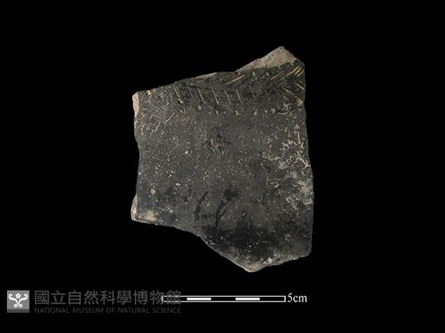 陶片藏品圖，第1張