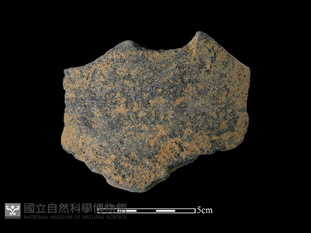 陶片藏品圖，第1張