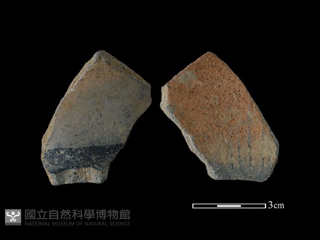 陶片藏品圖，第1張