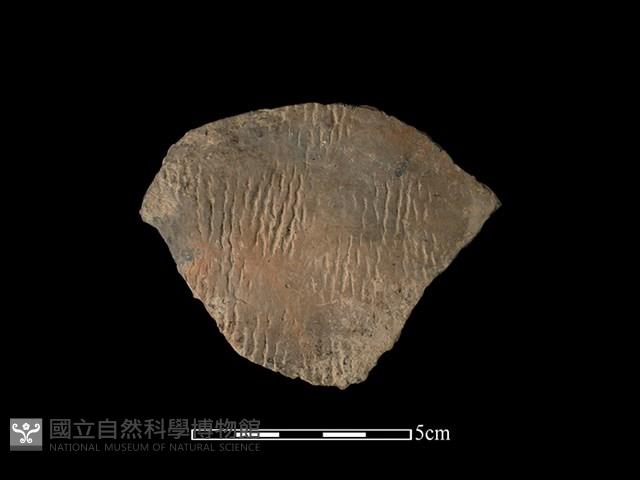 陶片藏品圖，第1張