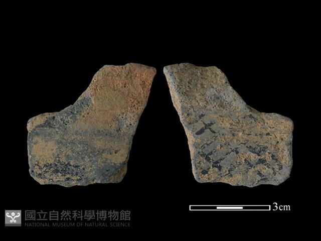 陶片藏品圖，第1張