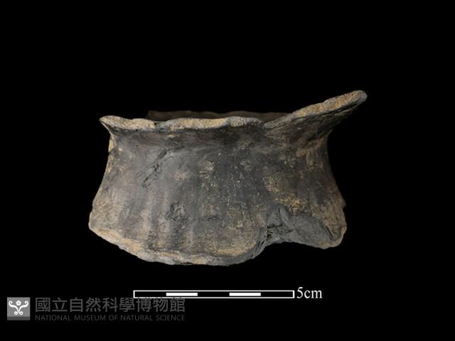 陶罐藏品圖，第1張