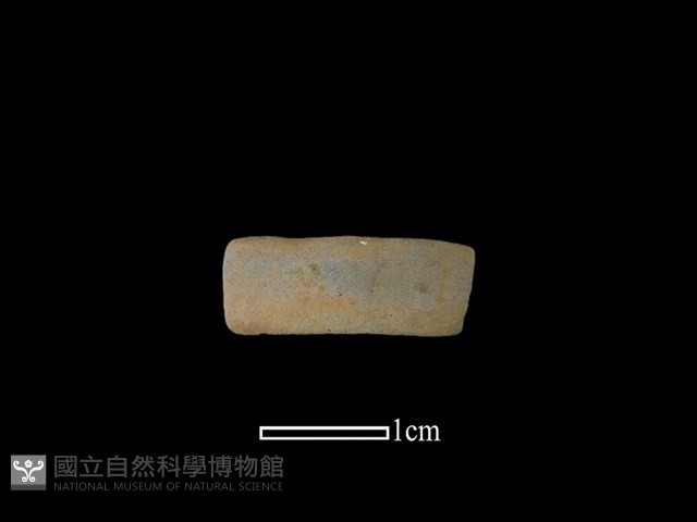 陶環藏品圖，第1張