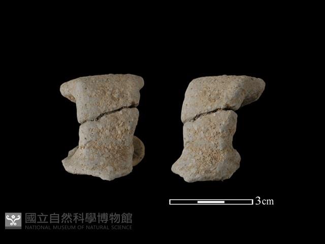 陶把藏品圖，第1張