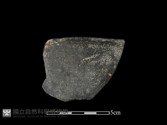 陶缽藏品圖，第1張