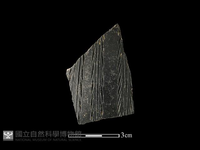 陶片藏品圖，第1張