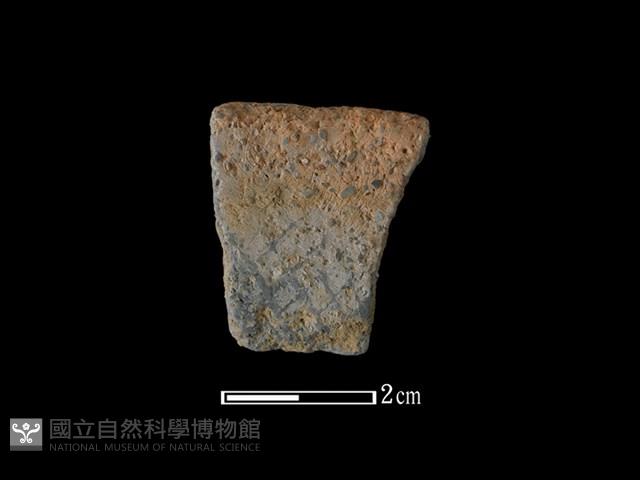 陶片藏品圖，第1張