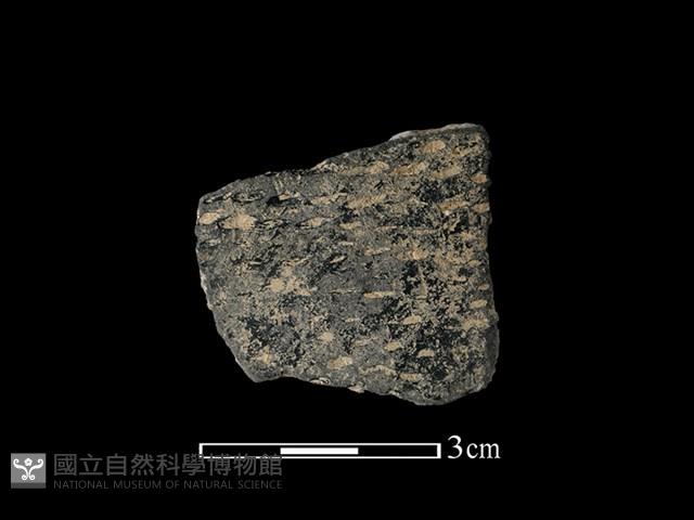 陶片藏品圖，第1張