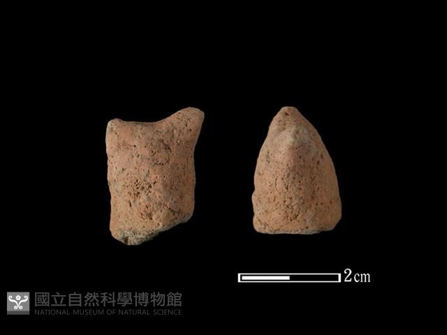 陶蓋鈕藏品圖，第1張