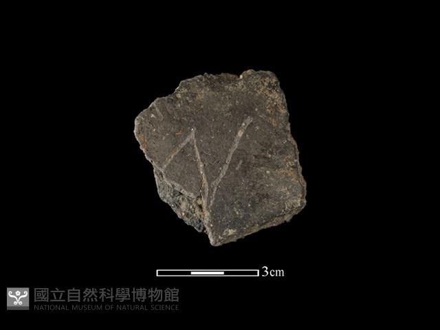 陶片藏品圖，第1張