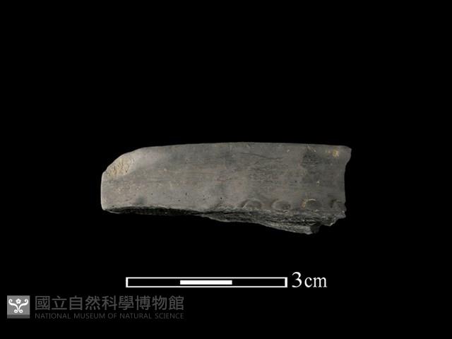 陶缽藏品圖，第1張