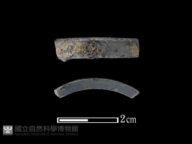 陶環藏品圖，第1張