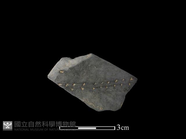 陶片藏品圖，第1張