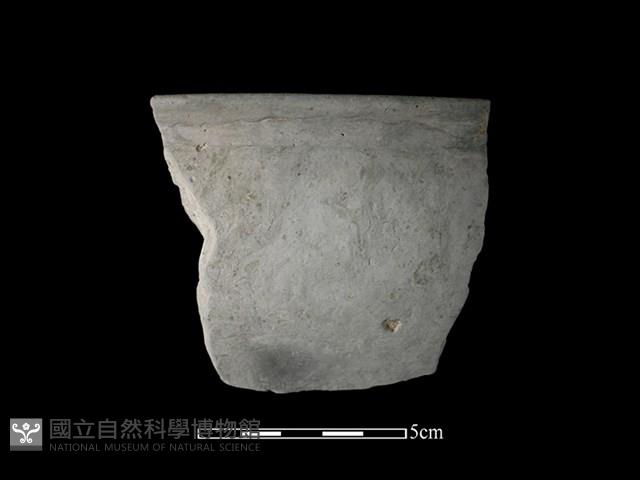 陶缽藏品圖，第1張