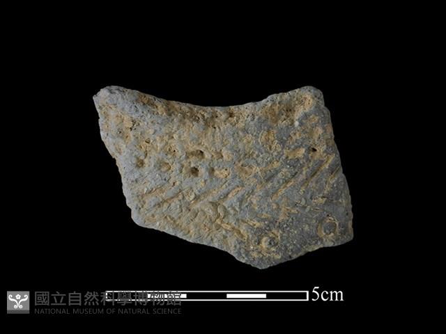 陶片藏品圖，第1張