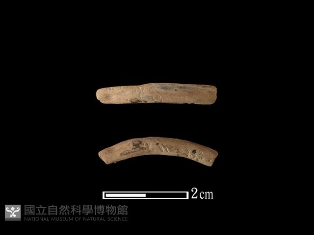 陶環藏品圖，第1張