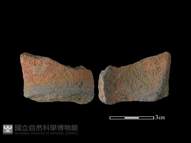 陶片藏品圖，第1張